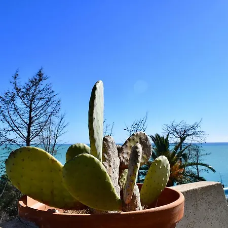 La Casa Di Ilauro